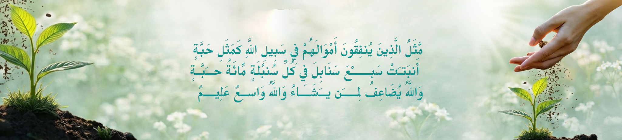 ⁠ جمعية الأمل لمكافحة السرطان بالقطيف